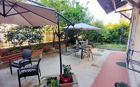 Bibbi'S Garden